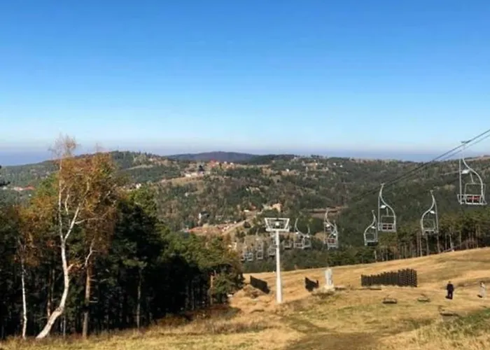 Family Lux App 公寓 Divčibare